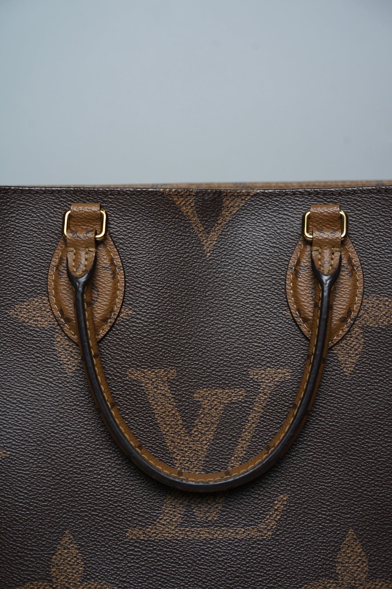 Louis Vuitton On The Go MM