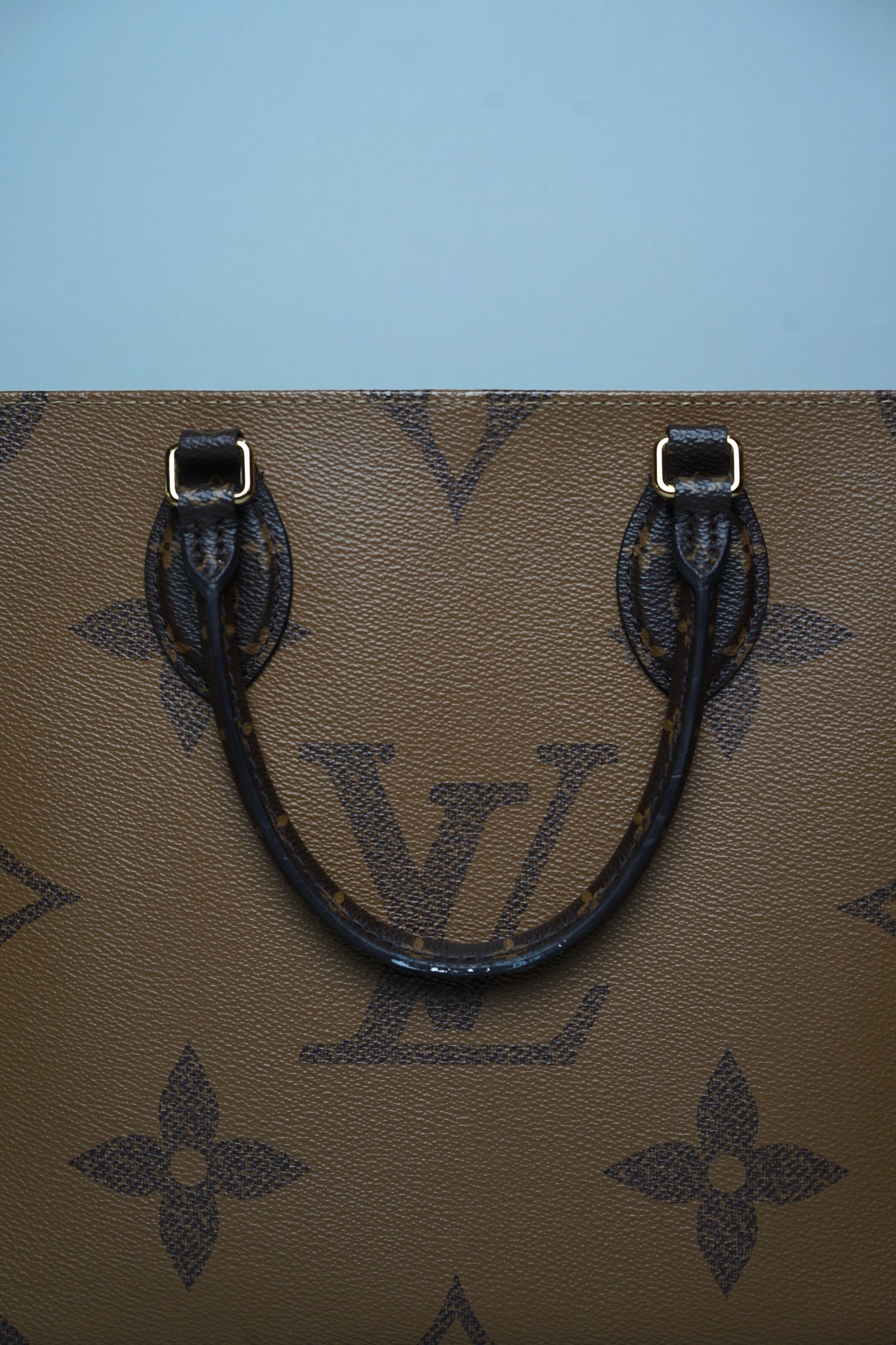 Louis Vuitton On The Go MM