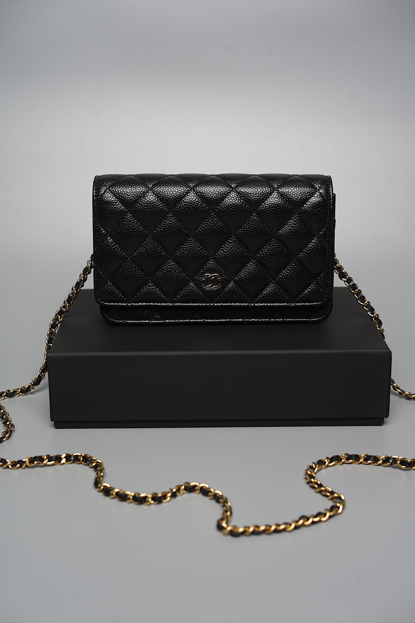 Chanel Wallet on Chain in Black Caviar Ghw (Brand New)