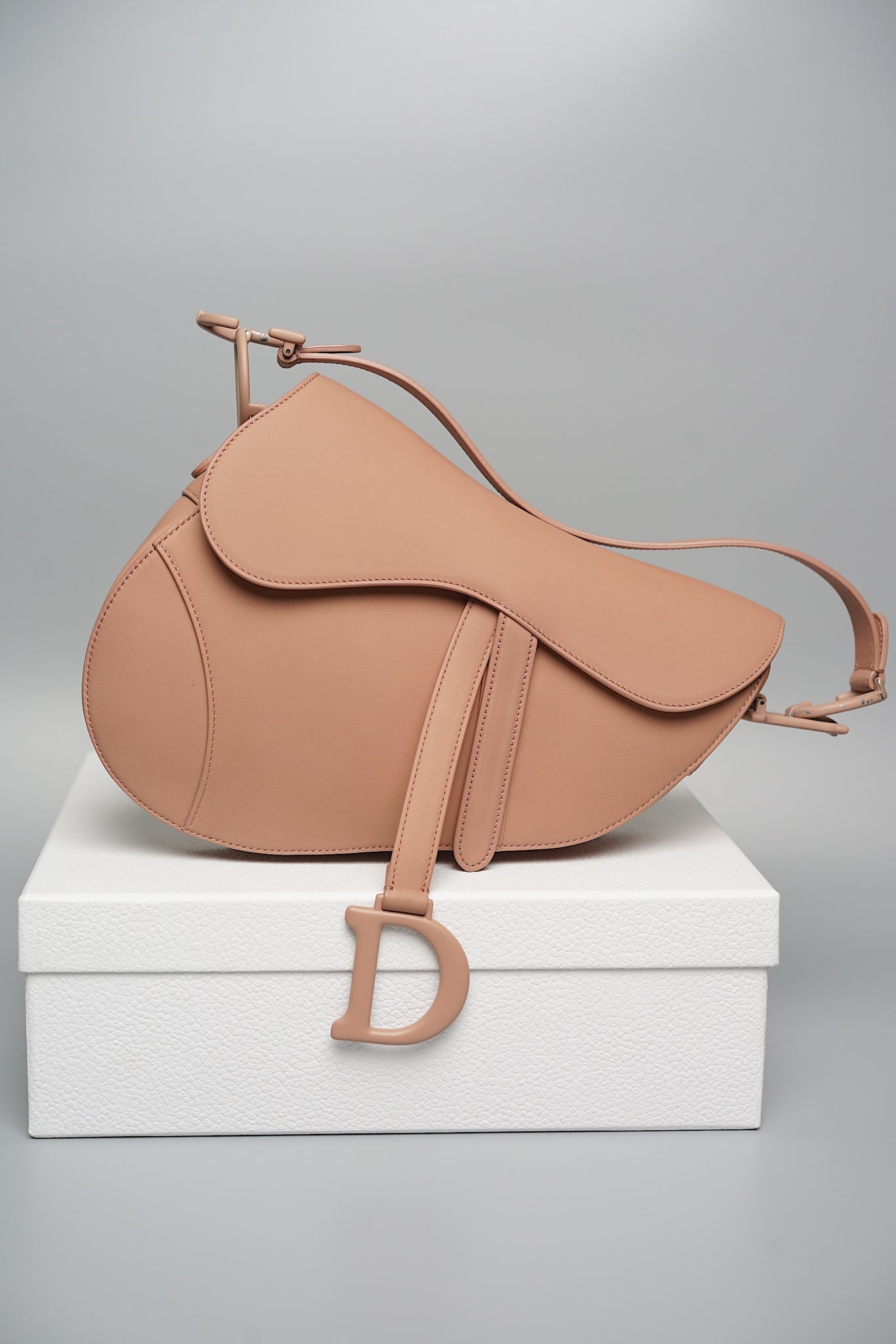 Dior Saddle Bag in Ultra Matte Blush Calfskin