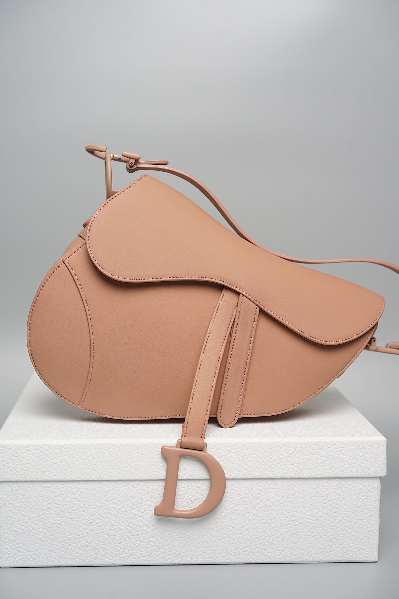 Dior Saddle Bag in Ultra Matte Blush Calfskin