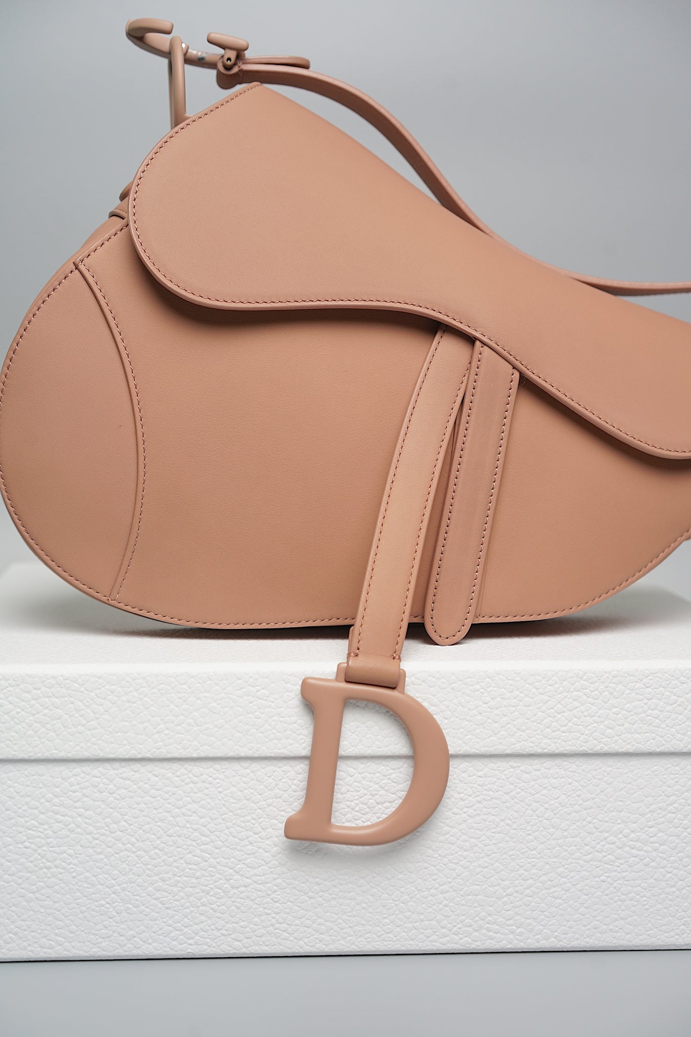 Dior Saddle Bag in Ultra Matte Blush Calfskin