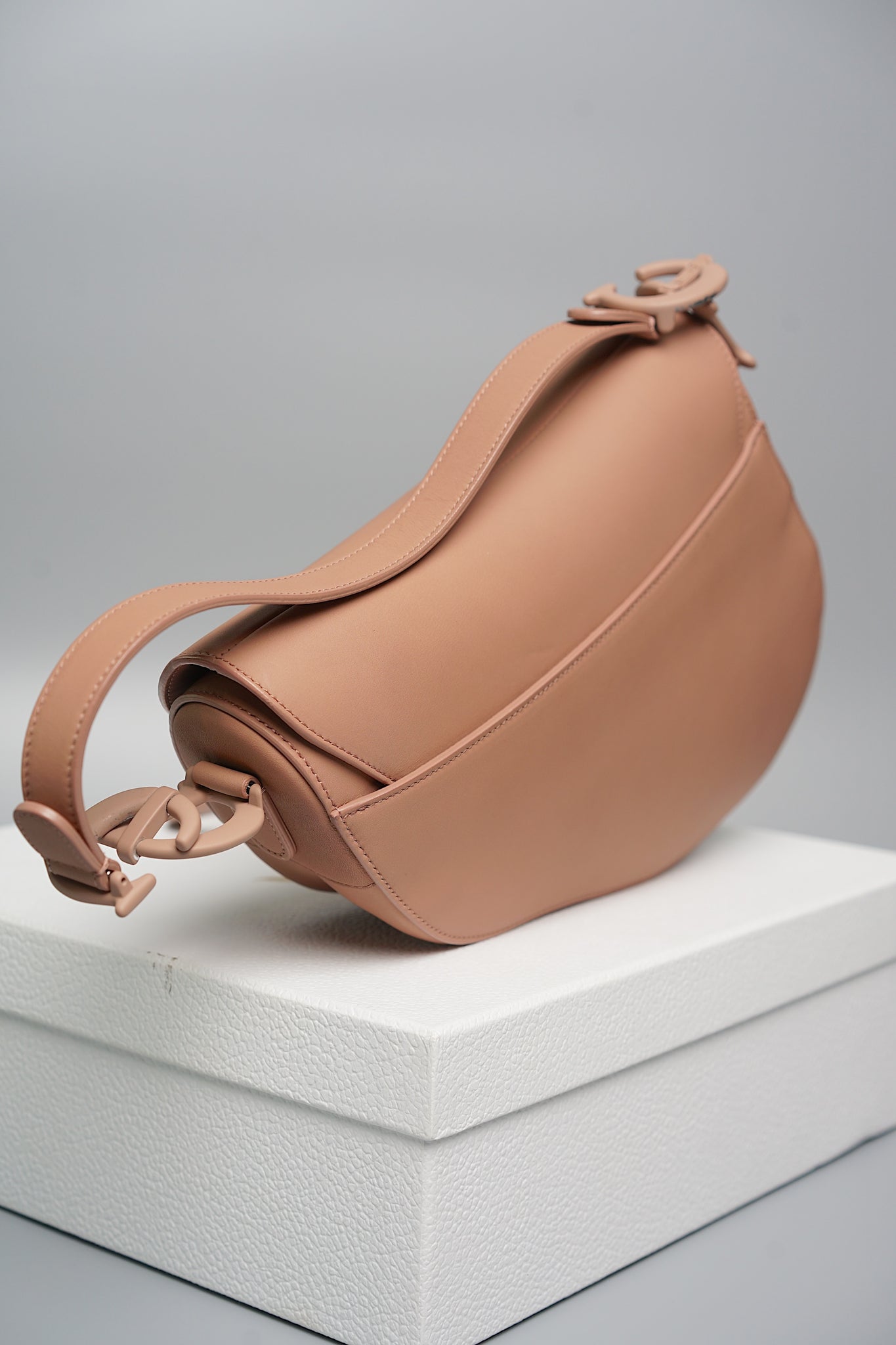 Dior Saddle Bag in Ultra Matte Blush Calfskin