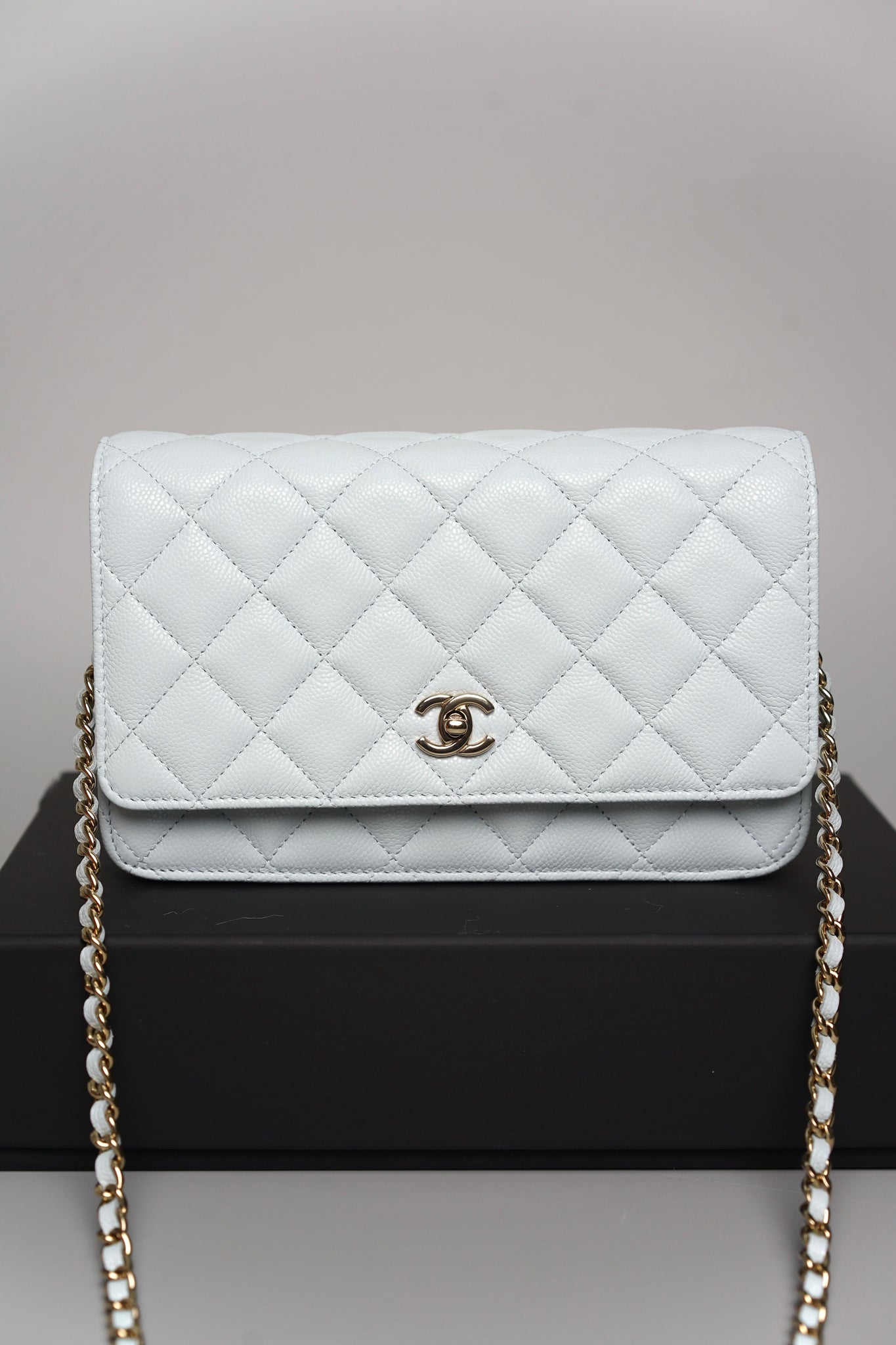 Chanel Wallet on Chain in Light Blue Grained Shiny Calfskin Lghw (Brand New)