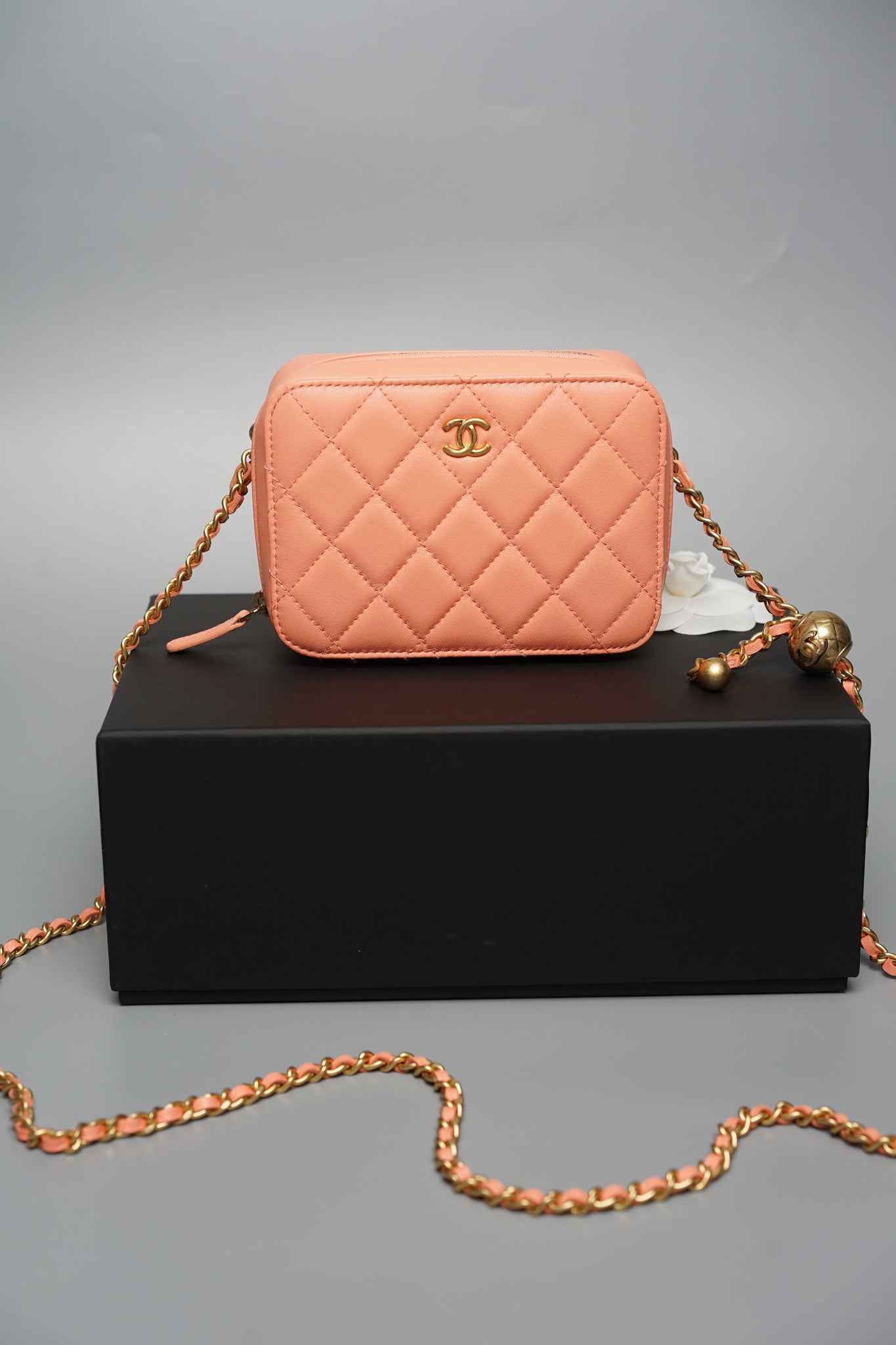 Chanel Mini Pearl Crush Quilted Camera Case in Beige Pink Bghw