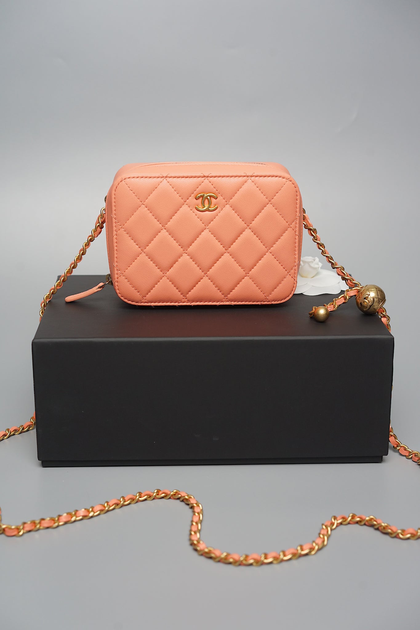 Chanel Mini Pearl Crush Quilted Camera Case in Beige Pink Bghw