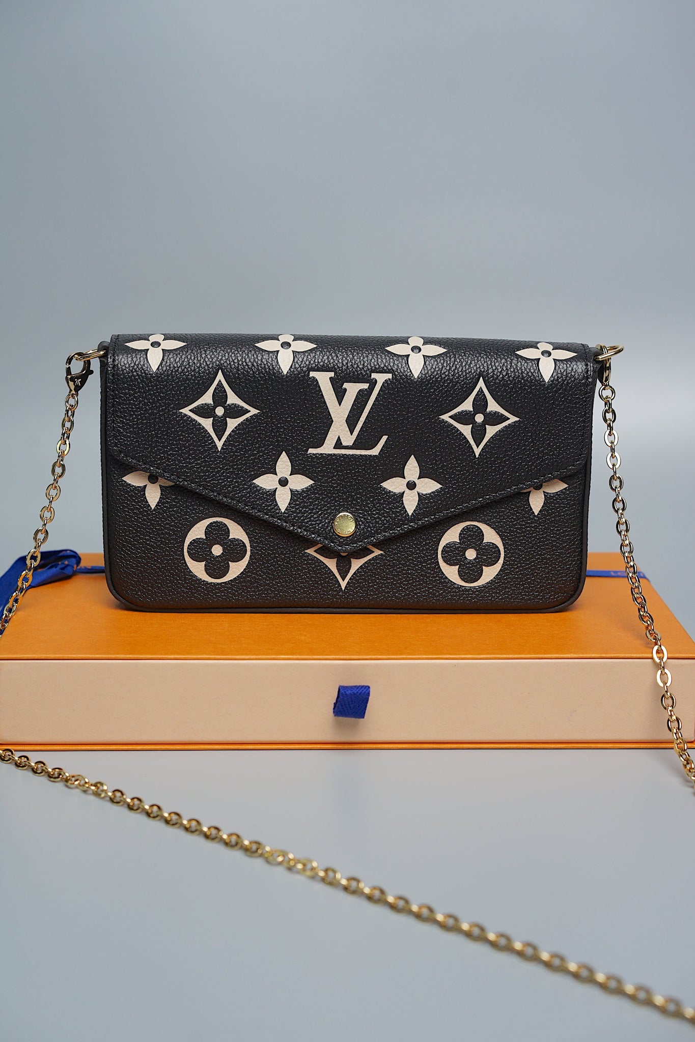 Louis Vuitton Felicie Pochette (Brand New)